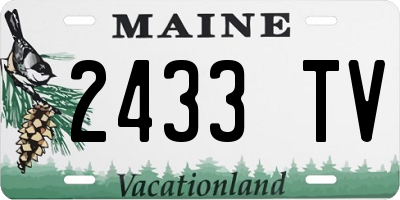 ME license plate 2433TV