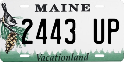 ME license plate 2443UP