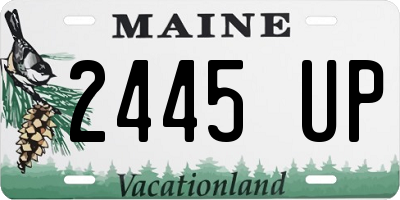 ME license plate 2445UP