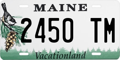 ME license plate 2450TM