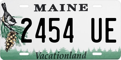 ME license plate 2454UE