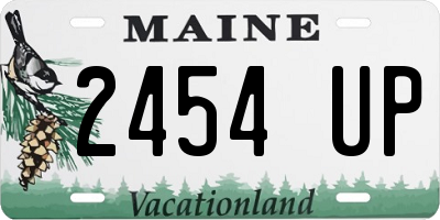 ME license plate 2454UP