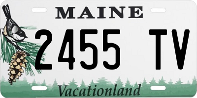 ME license plate 2455TV