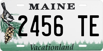 ME license plate 2456TE