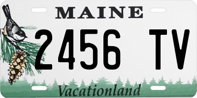 ME license plate 2456TV