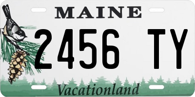 ME license plate 2456TY