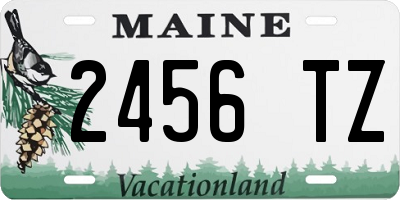 ME license plate 2456TZ