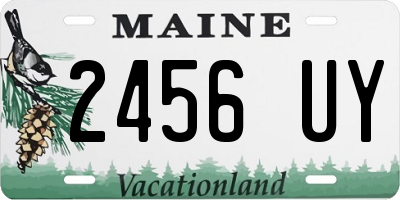 ME license plate 2456UY