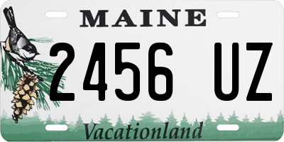 ME license plate 2456UZ