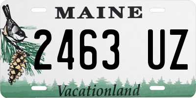 ME license plate 2463UZ