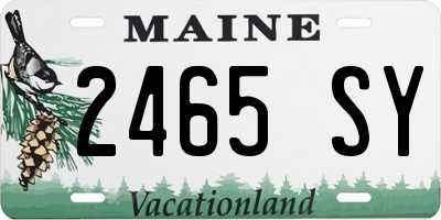 ME license plate 2465SY