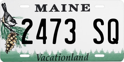 ME license plate 2473SQ
