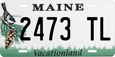 ME license plate 2473TL
