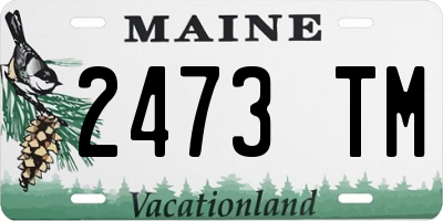 ME license plate 2473TM