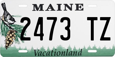ME license plate 2473TZ