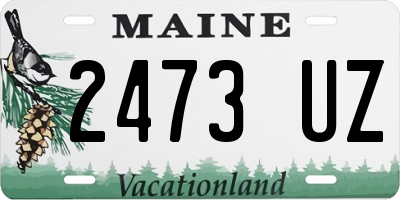 ME license plate 2473UZ