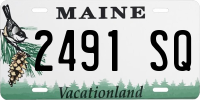 ME license plate 2491SQ
