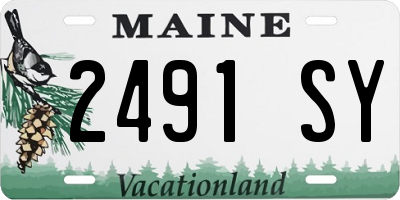 ME license plate 2491SY