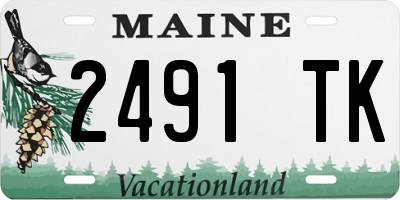 ME license plate 2491TK