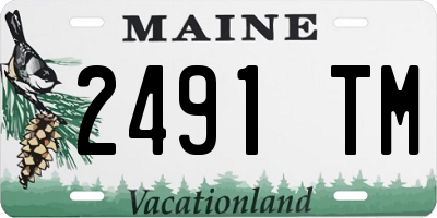 ME license plate 2491TM