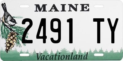 ME license plate 2491TY