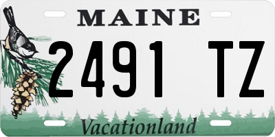 ME license plate 2491TZ