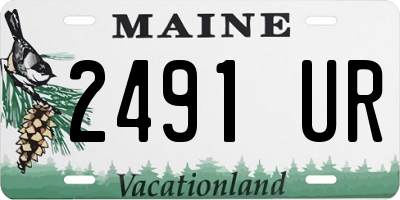 ME license plate 2491UR