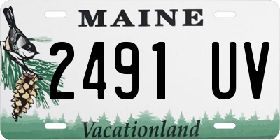 ME license plate 2491UV