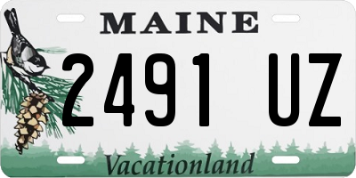 ME license plate 2491UZ