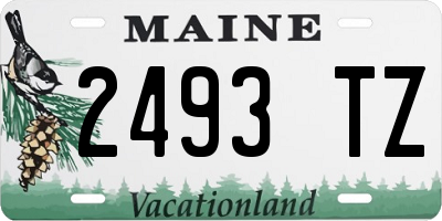 ME license plate 2493TZ