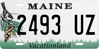 ME license plate 2493UZ