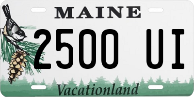 ME license plate 2500UI