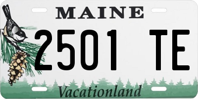 ME license plate 2501TE