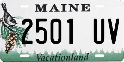 ME license plate 2501UV