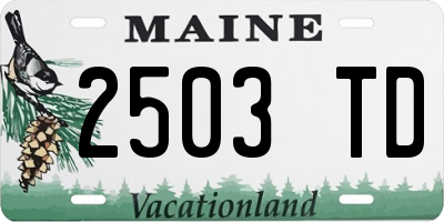 ME license plate 2503TD