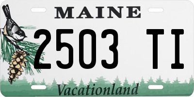 ME license plate 2503TI