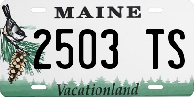 ME license plate 2503TS