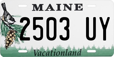 ME license plate 2503UY