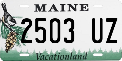 ME license plate 2503UZ