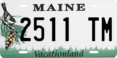 ME license plate 2511TM