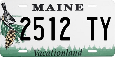 ME license plate 2512TY