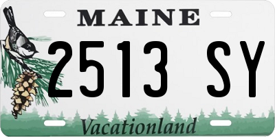 ME license plate 2513SY