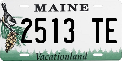 ME license plate 2513TE