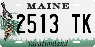ME license plate 2513TK