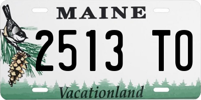 ME license plate 2513TO