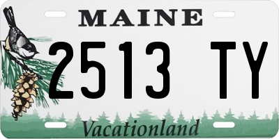 ME license plate 2513TY