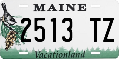 ME license plate 2513TZ