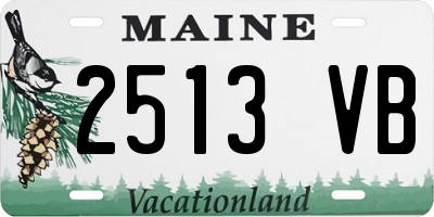 ME license plate 2513VB
