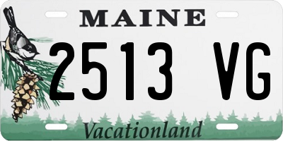 ME license plate 2513VG