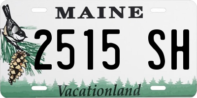 ME license plate 2515SH